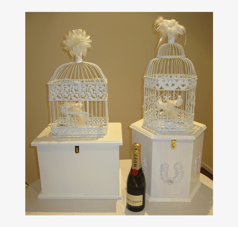 Sydney Eastern Suburbs Event Wishing Well Hire - Cage, transparent png download