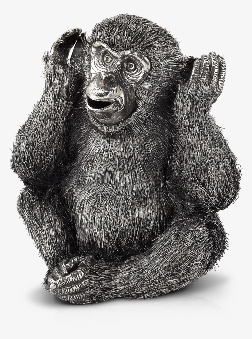 Common Chimpanzee, transparent png download