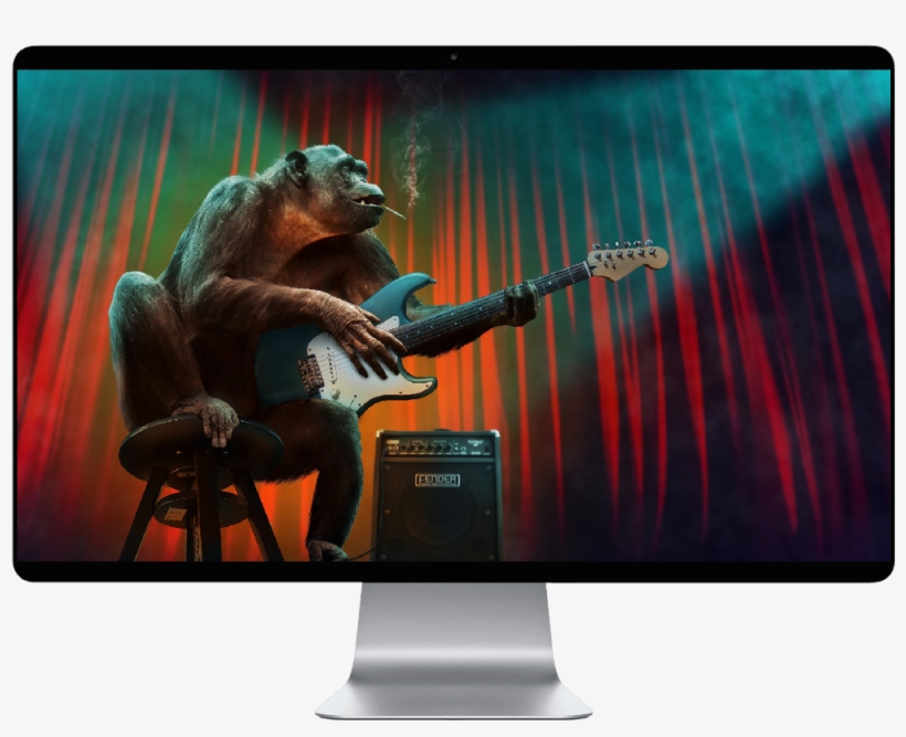 Score 50% - Ig Nobel 2018, transparent png download