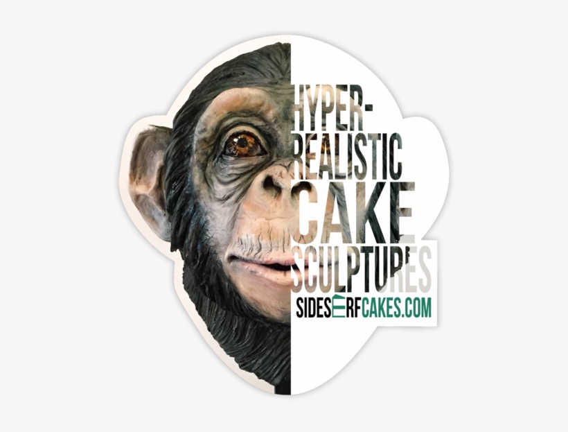 Download Chimp Sticker - Common Chimpanzee | Transparent PNG Download ...