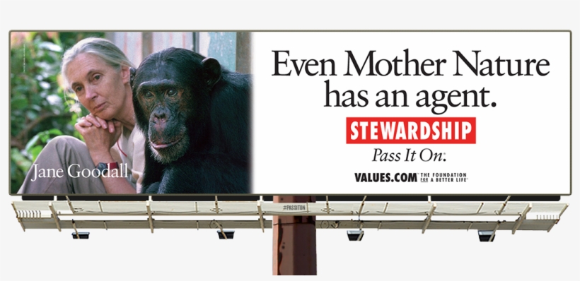 See The Jane Goodall Stewardship Billboard And Pass - Incredibles Billboard, transparent png download