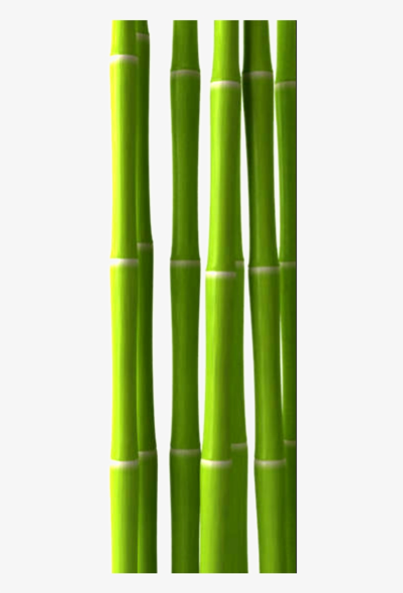 Bamboo Png, Download Png Image With Transparent Background, - Imagen Bamboo Spa Png, transparent png download