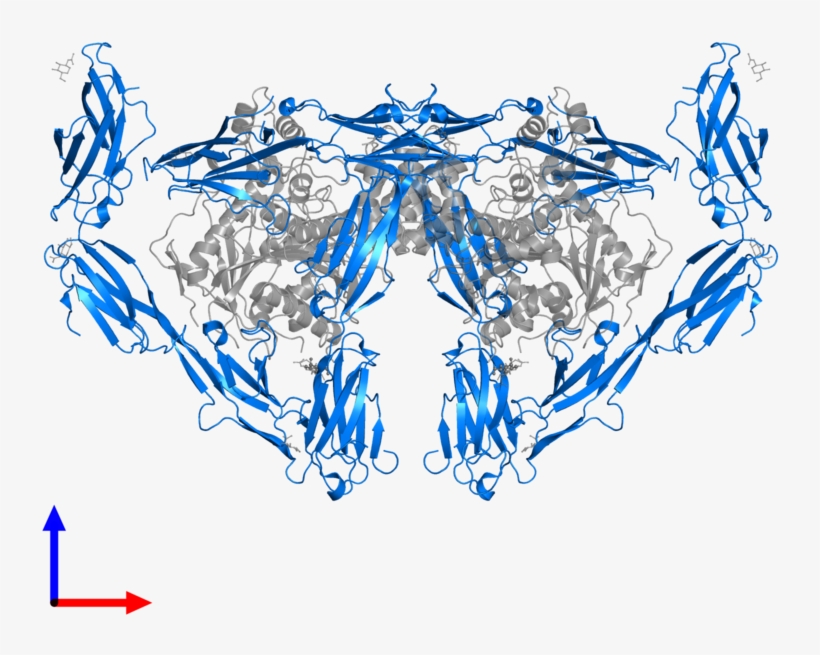 <div Class='caption-body'>pdb Entry 5oj6 Contains 2 - Graphic Design, transparent png download