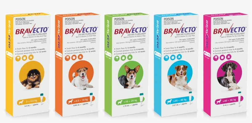 One Dose Provides 6 Months Protection Against Fleas - Bravecto Spot On Dog, transparent png download