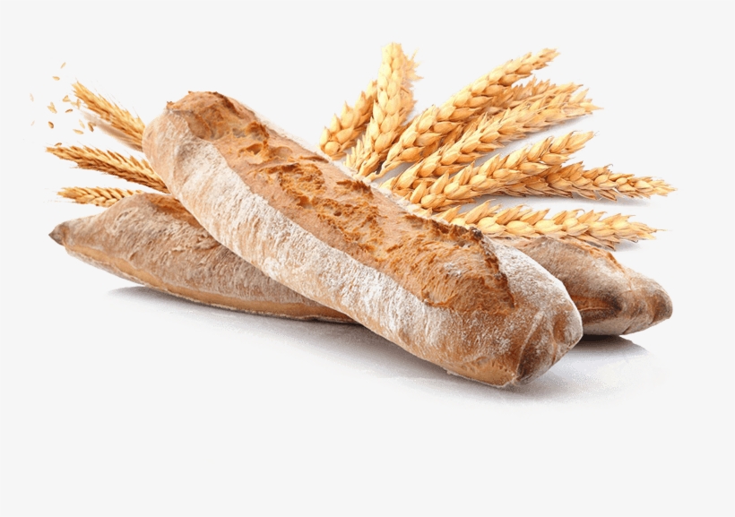 Sabias Que Del Trigo, transparent png download