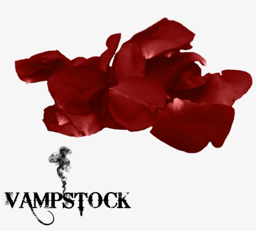 Go To Image - Falling Transparent Rose Petals Png, transparent png download