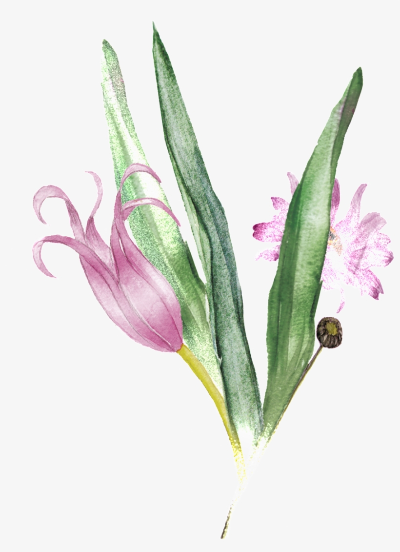 Pink Bouquet Transparent Decorative - Gladiolus, transparent png download