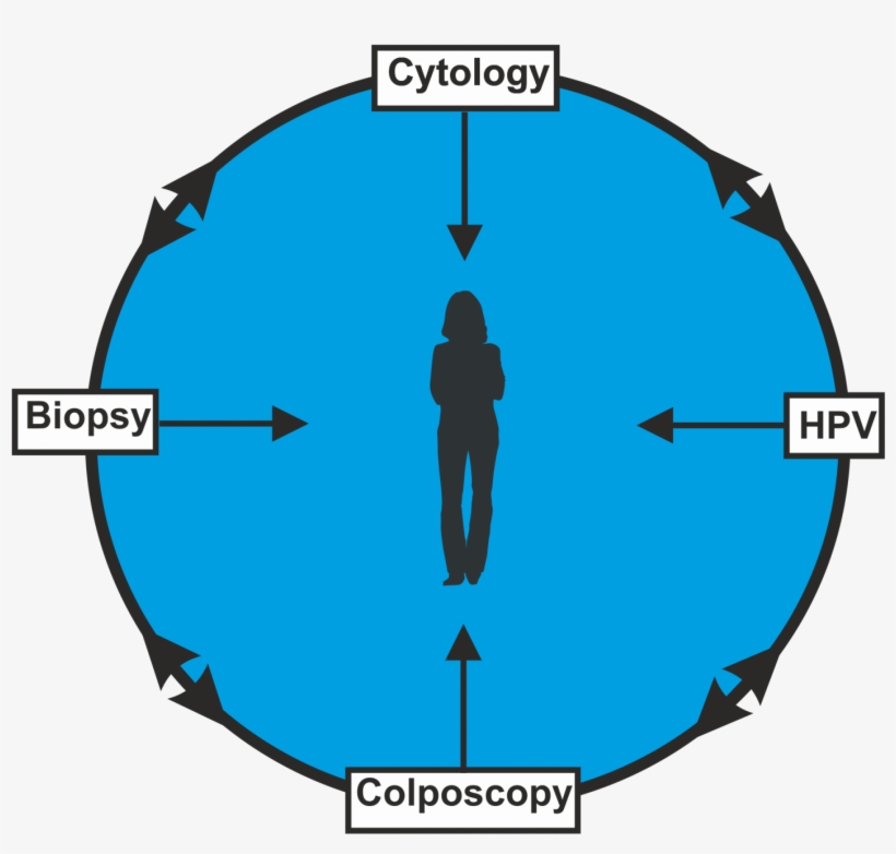 Although These Chapters Primarily Deal With Cervical - Lha Gha, transparent png download