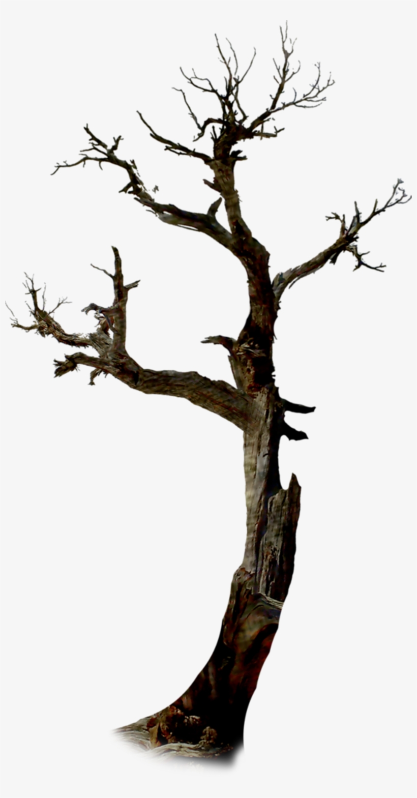 Image Royalty Free Library Twig The Tree Clip Art Dead - Arbre Halloween Png, transparent png download