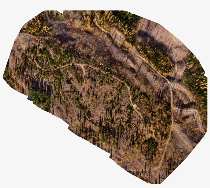 Preview - Outcrop, transparent png download