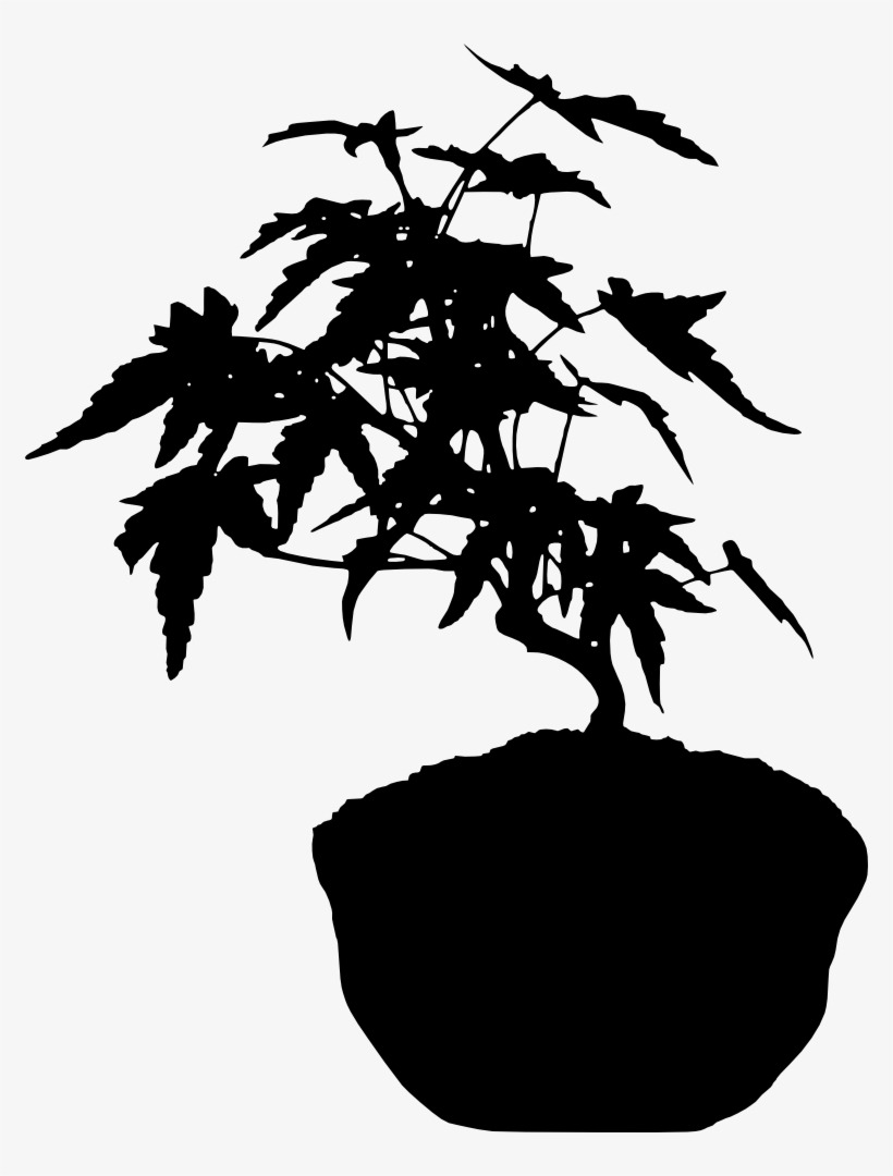 Bonsai Silhouette - Silhouette, transparent png download
