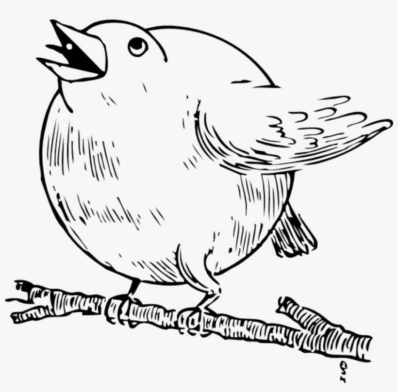Free Png Download Round Robin Bird Png Images Background - Round Robin, transparent png download