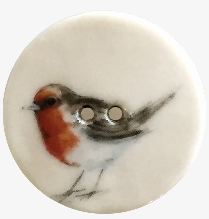 European Robin, transparent png download