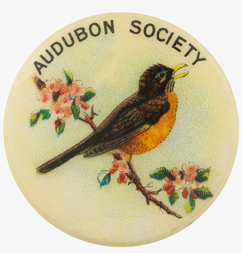 Audubon Society American Robin Club Button Museum - Mississauga Humane Society Logo, transparent png download