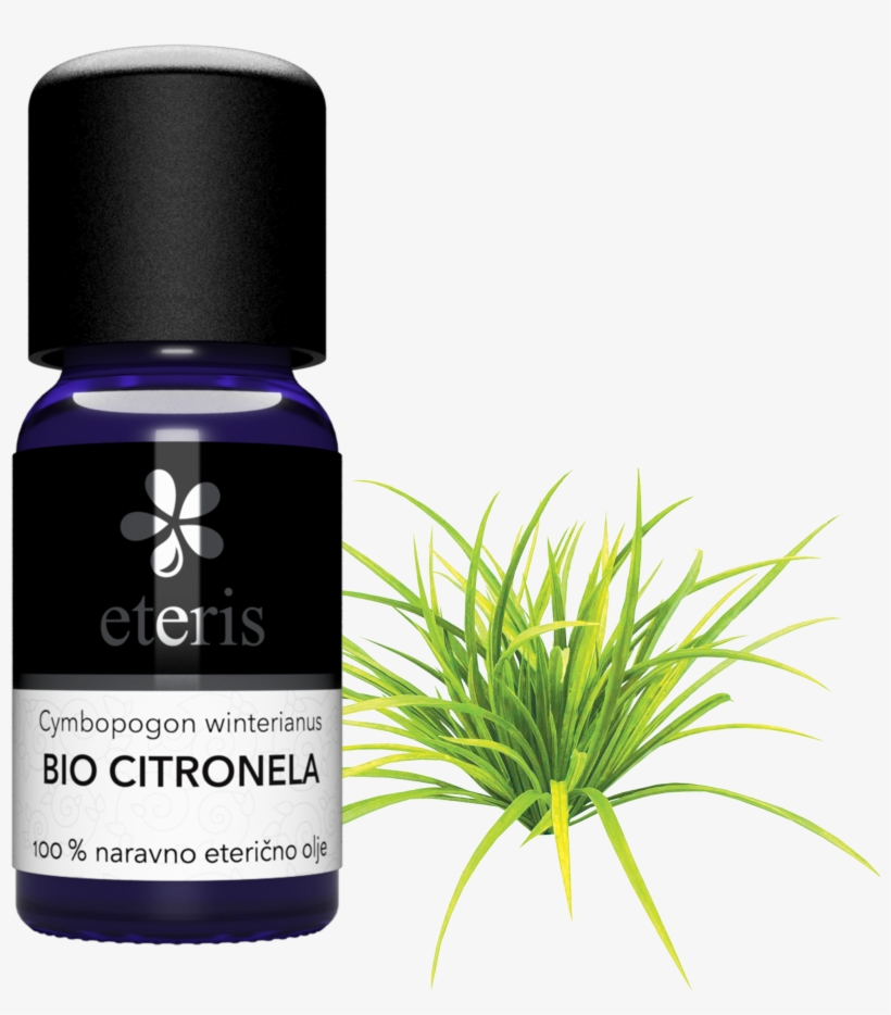 Citronela - Eterično Olje Melise, transparent png download