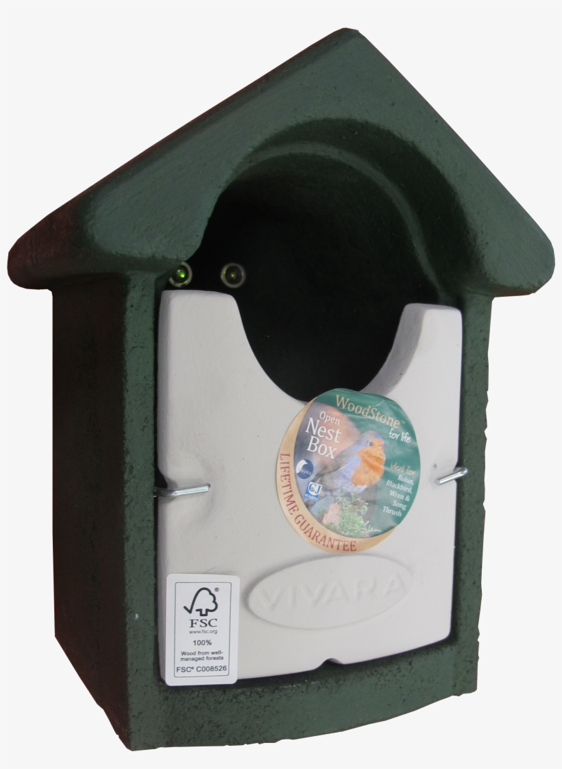 Zoom - Perching Bird, transparent png download