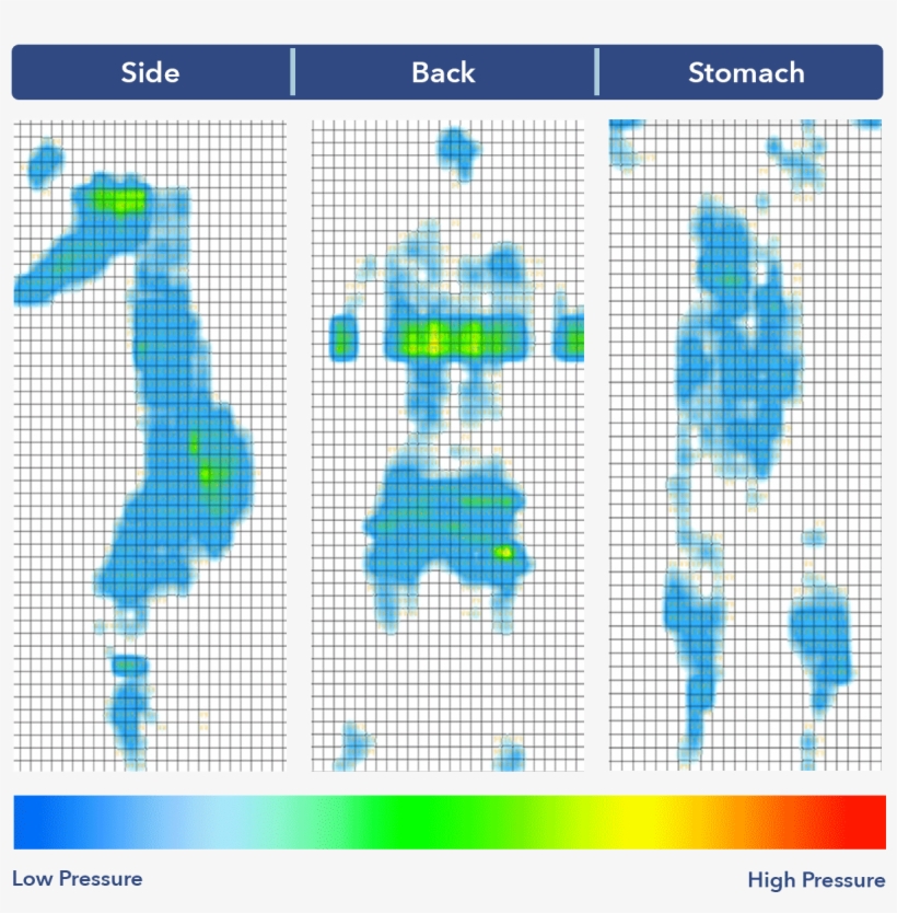 Back Once On My Back, My Weight Was Evenly Distributed - Diagram, transparent png download
