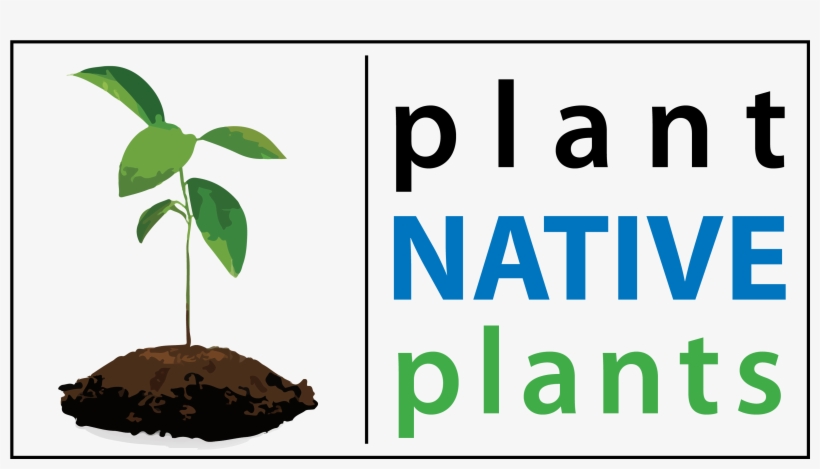 Spring Tree And Plant Sale - Houseplant, transparent png download