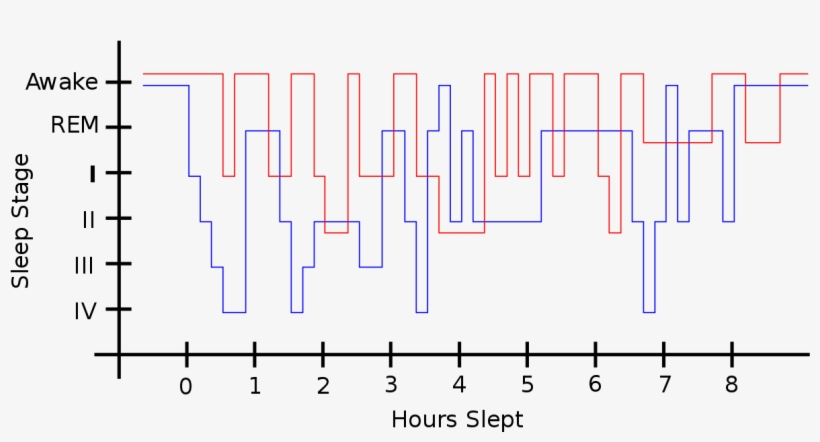 Motivation And Emotion/book/2016/sleep And Motivation - Diagram, transparent png download