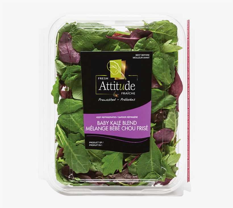 Bebe Chou Kale Png Image Transparent Png Free Download On Seekpng