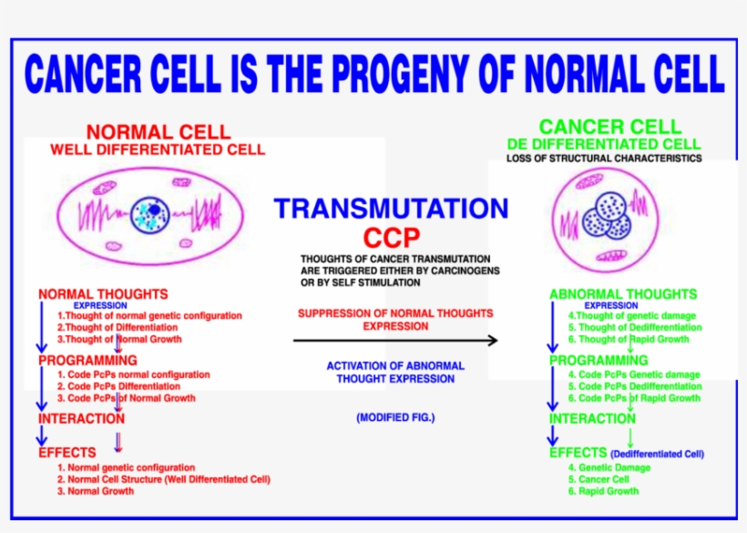 Phenomenon Of Cell Transmutation Into Cancer - Keep Refrigerated, transparent png download