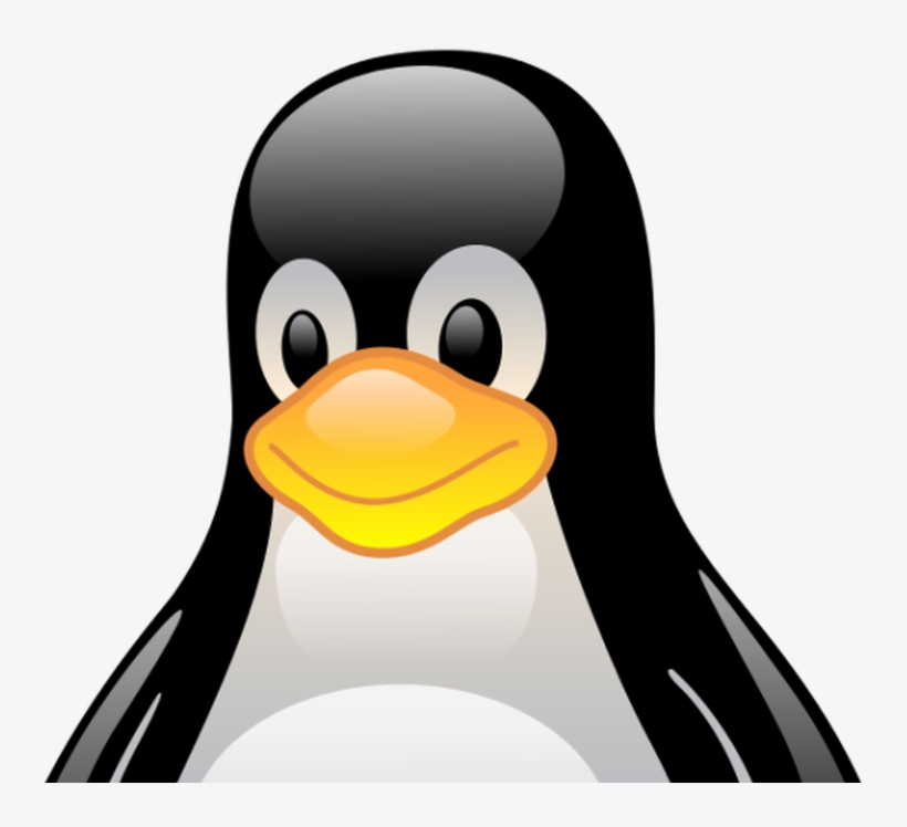 11 Reasons Why Open Source Is Taking Over Enterprise - Linux Maskotu, transparent png download