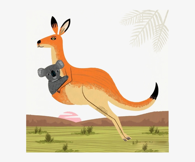 Koala And Kangaroo Png, transparent png download