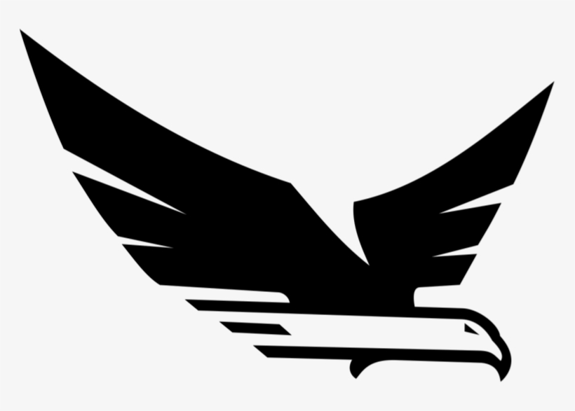Soaring Eagle Realty - Hawk, transparent png download