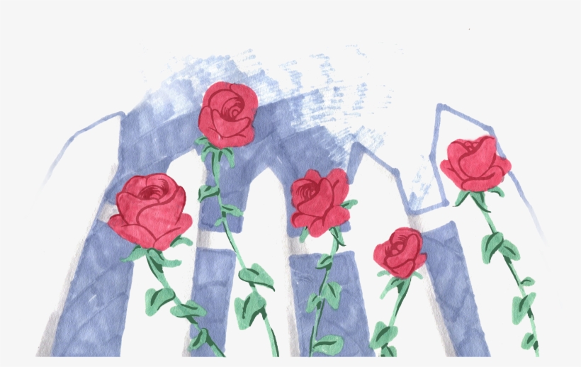 Garden Roses, transparent png download