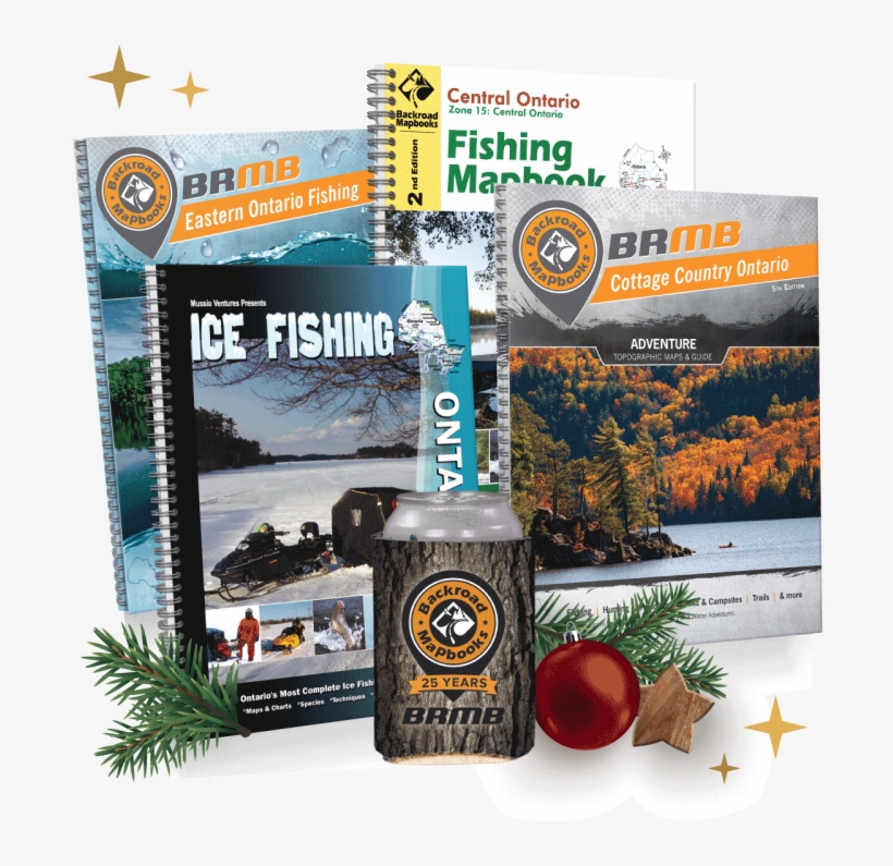 Tomato, transparent png download