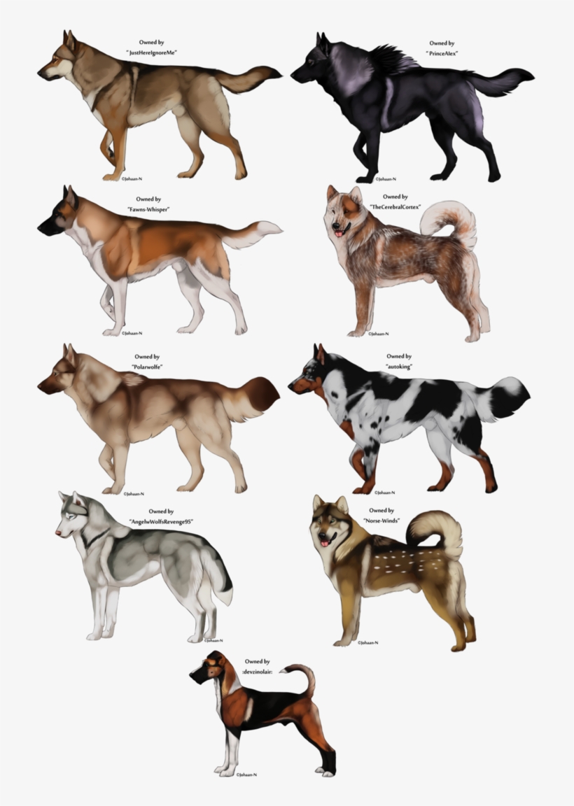 Vector Transparent Stock Pin By L Paige Murray On Creature - Dog Drawing Art Anime, transparent png download