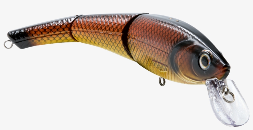 Bait Fish, transparent png download