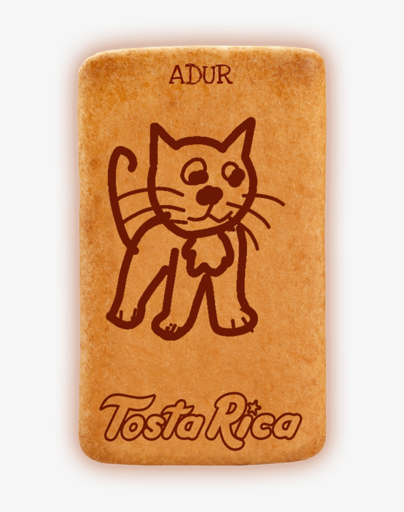 Katuaadur - Black Cat, transparent png download