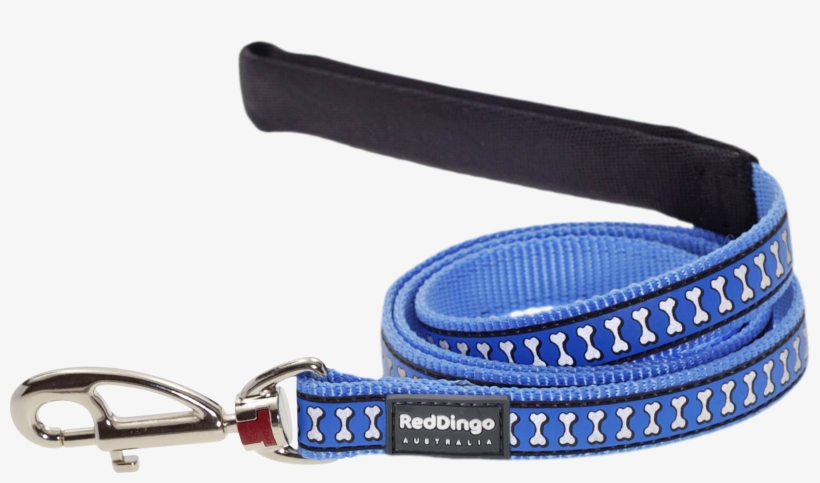 Belt, transparent png download