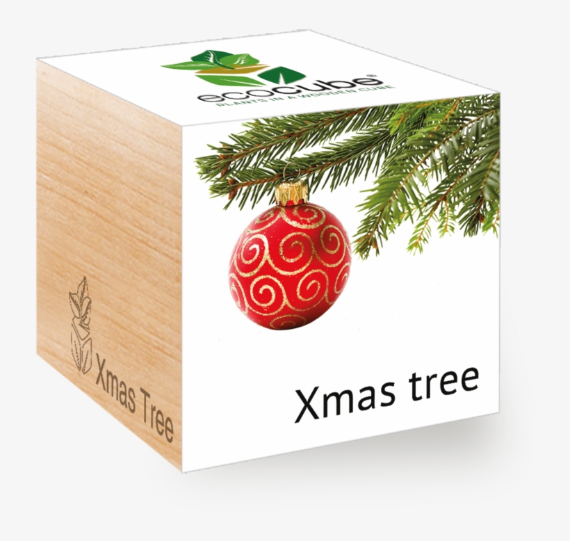 Ecocube Christmas Tree, transparent png download