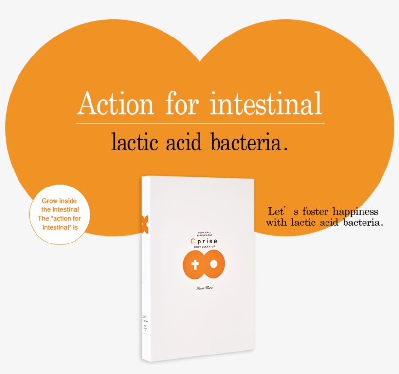 There Are 1000 Trillion Intestinal Bacteria In Your - Pearson Education, transparent png download