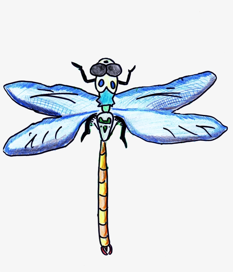 Picture Free Stock Dragonfly Kidzera By Ju Won P Age - Dragonfly, transparent png download