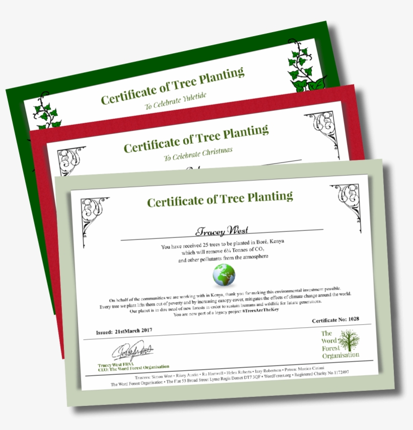 Tree Gift Certificates - Acre Of Land Certificate, transparent png download