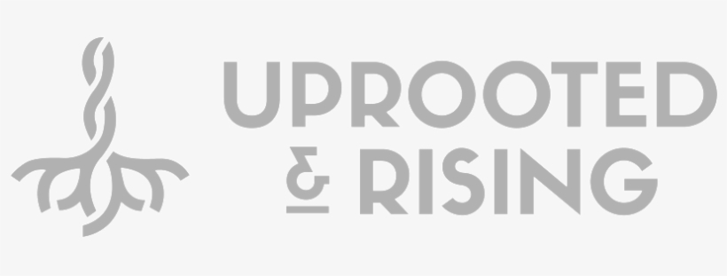 Ur Bw Secondary Slate - Calligraphy, transparent png download