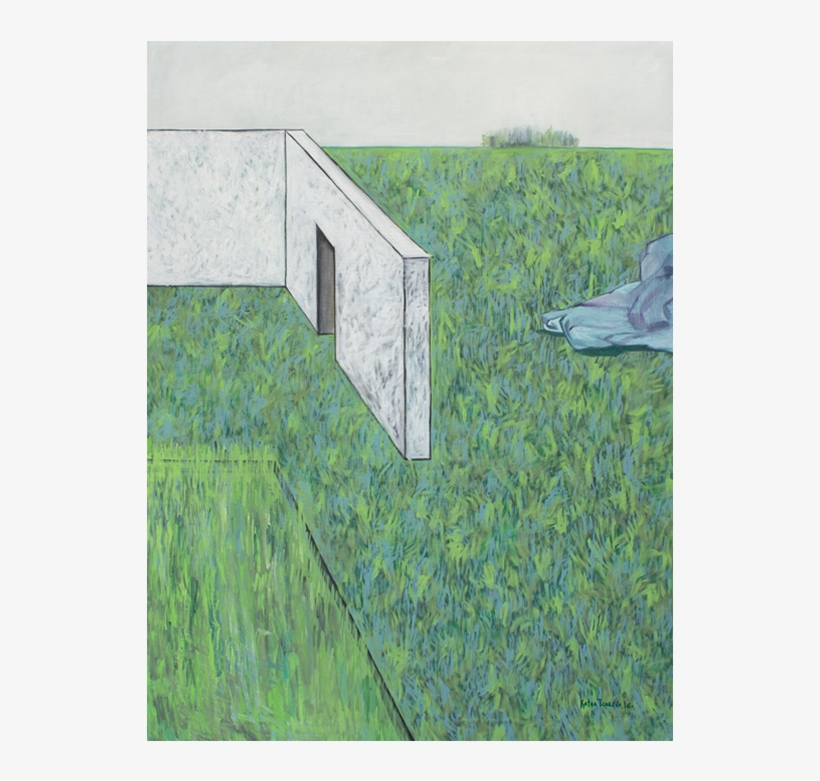 Landscape With Nobody With A Fragment Of A White House - Grass, transparent png download