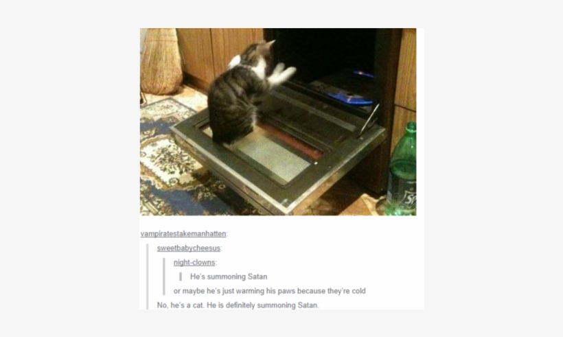 Hilarious Tumblr Posts Transparent Background - Its Cold Outside Funny, transparent png download