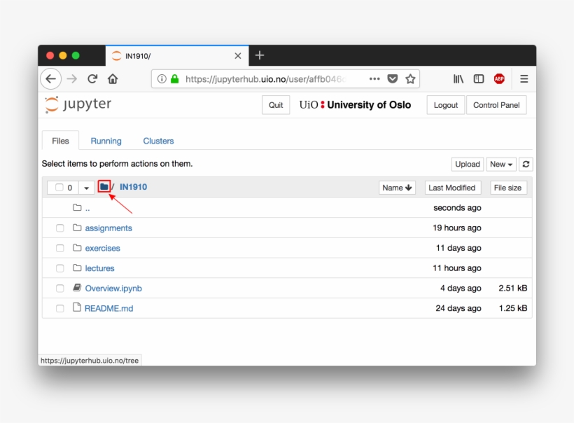Jupyterhub Bug Tree - Opcache Dashboard PNG Image | Transparent PNG ...
