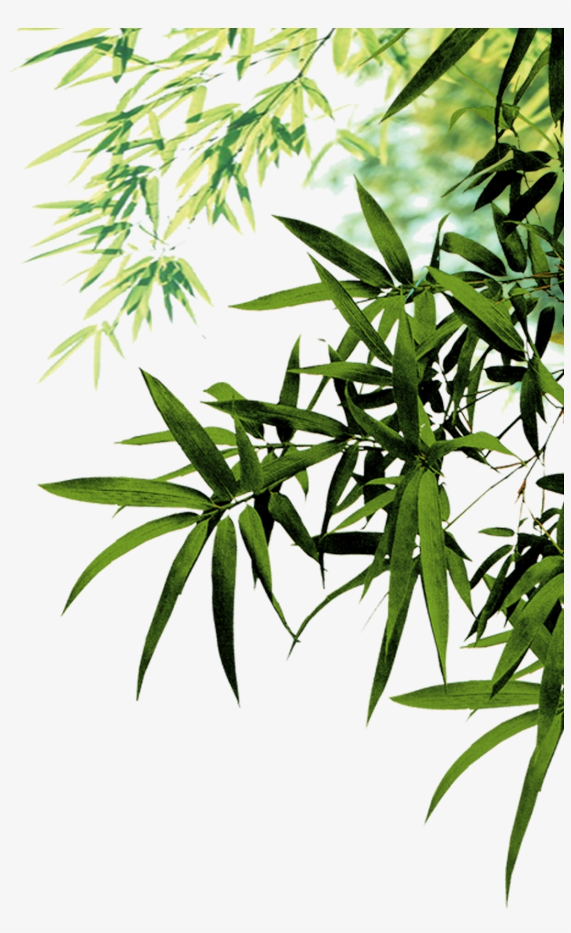 Bamboo Icon Leaf Leaves Ink Png File Hd Clipart - Bamboo Psd, transparent png download