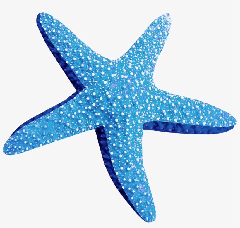 Blue Starfish Png Blue Starfish Png - Морская Звезда Пнг, transparent png download
