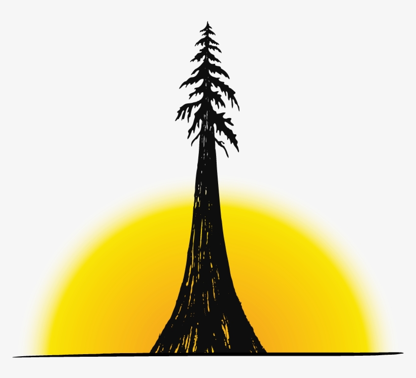 Tt2017 Sldrheader Logo 800 Line - Pine Tree, transparent png download