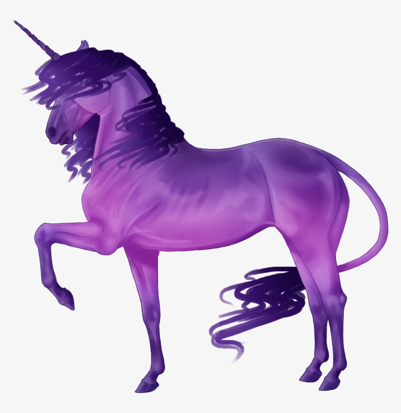 800 X 800 4 - Purple Pictures Of Unicorn, transparent png download