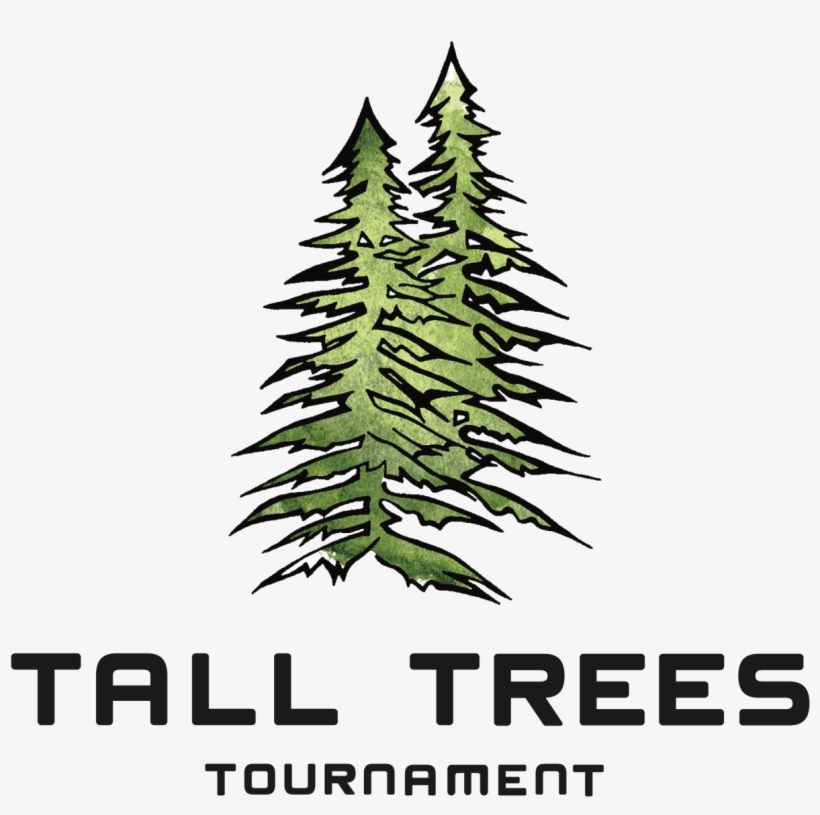 2019 Palo Alto Summer Tall Tree - Christmas Tree, transparent png download