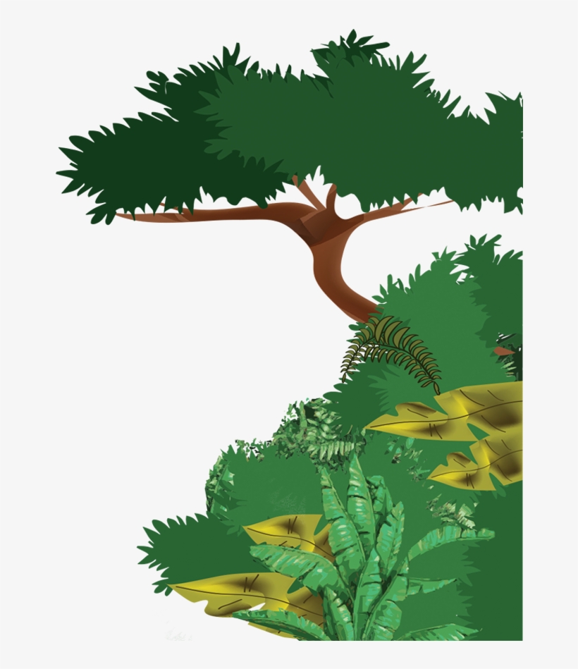 Rainforest Clipart Big Plant - Selva Dibujos Png, transparent png download
