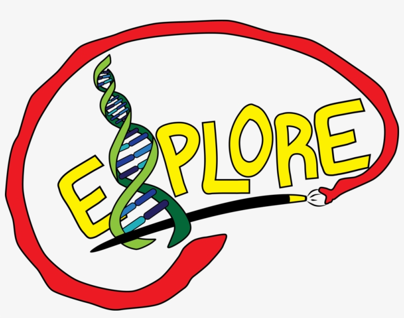Helix-paintbrush Brain Logo&nbsp - Exploration Clip Art, transparent png download