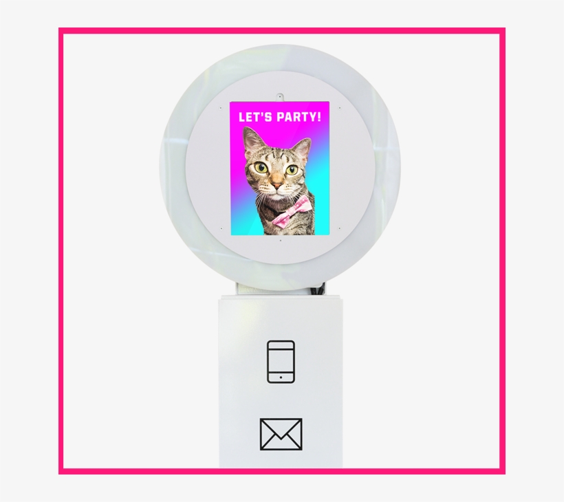 Raleigh Gif Photo Booth Rental - Domestic Short-haired Cat, transparent png download